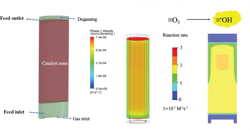 Typical results from application of coupled CFD models to the catalytic O3 process